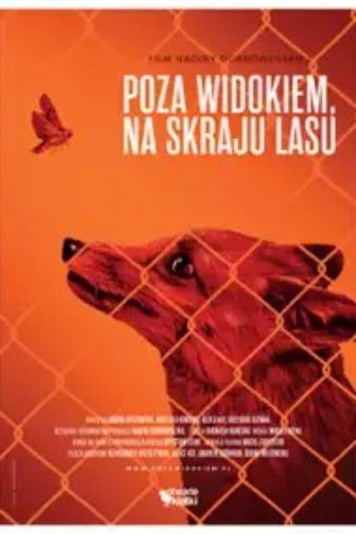 Poza widokiem, na skraju lasu